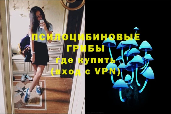 прущая мука Абаза